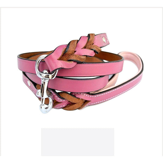 Soft Touch Collars Leather Braided Dog Leash