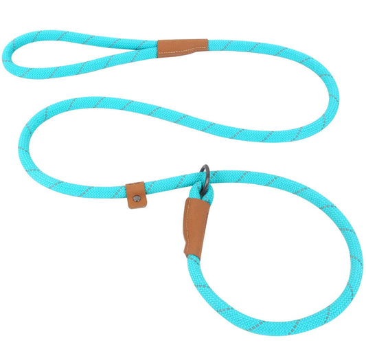 Slip Lead Dog Leash Reflective Mountain Climbing Rope Leash